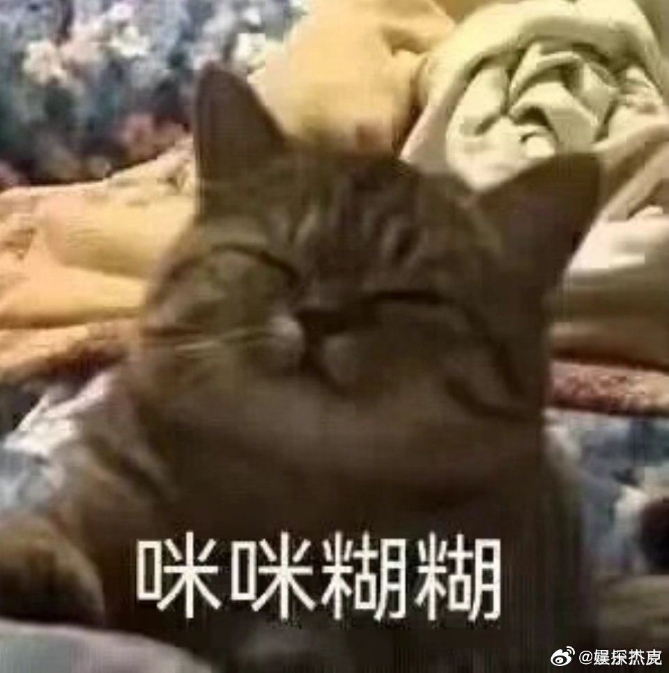 一分神似二分同,迷迷糊糊绕其中代表是指什么生肖的全面释义、解释与落实、构建解答解释落实