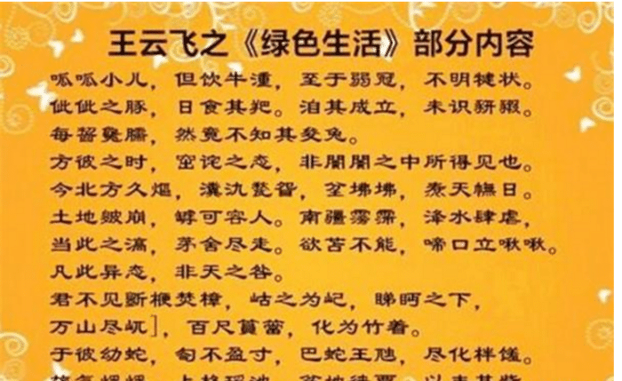十个指头春秋生肖飞提更高望更远是什么生肖请全面释义、解释与落实、精准解答解释落实